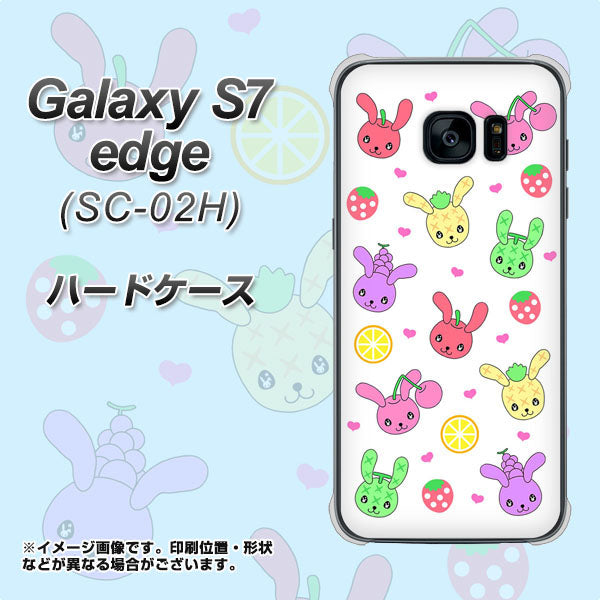 docomo ギャラクシーS7エッジ SC-02H 高画質仕上げ 背面印刷 ハードケース【AG826 フルーツうさぎのブルーラビッツ（白）】