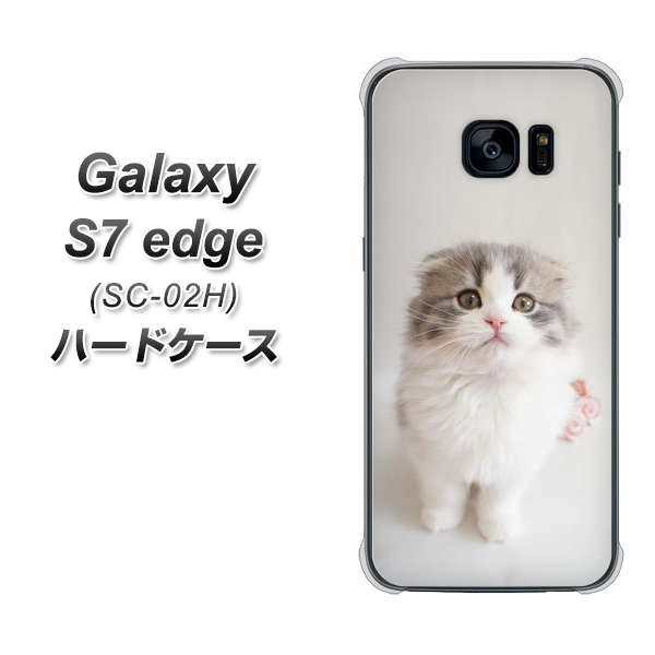docomo ギャラクシーS7エッジ SC-02H 高画質仕上げ 背面印刷 ハードケース【VA803 まっていますネコ】