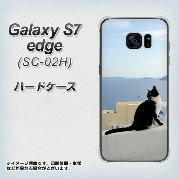 docomo ギャラクシーS7エッジ SC-02H 高画質仕上げ 背面印刷 ハードケース【VA805 ネコと地中海】