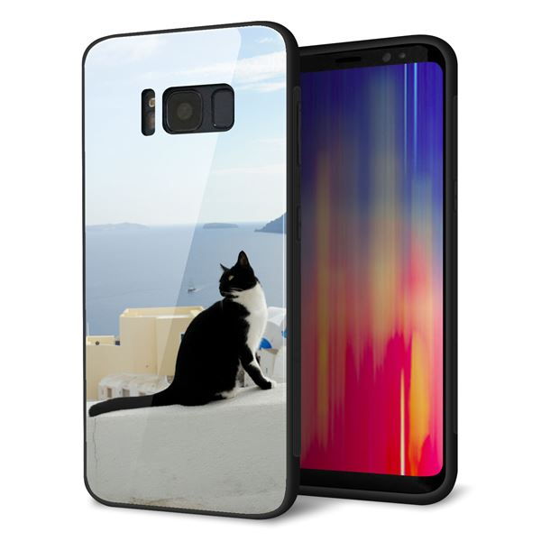 docomo ギャラクシー S8 SC-02J 強化ガラス＆TPUスマホケース ガラプリ【VA805 ネコと地中海】