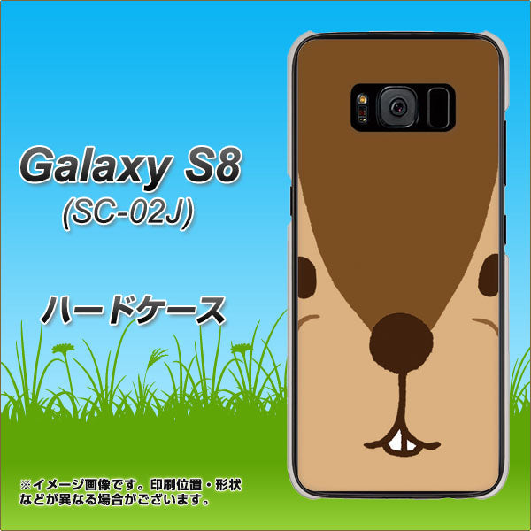 docomo ギャラクシー S8 SC-02J 高画質仕上げ 背面印刷 ハードケース【349 りす】
