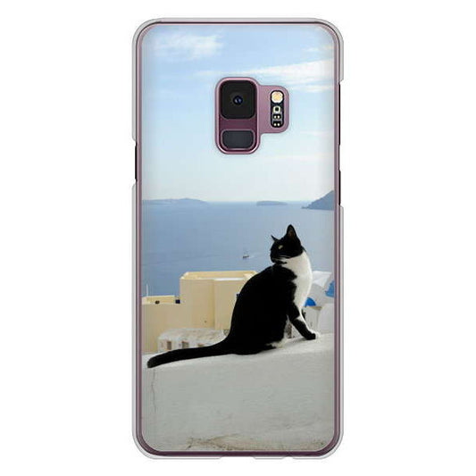 Galaxy S9 SC-02K docomo 高画質仕上げ 背面印刷 ハードケース 【VA805 ネコと地中海】