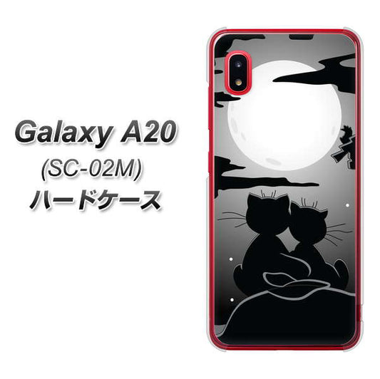 docomo ギャラクシー A20 SC-02M 高画質仕上げ 背面印刷 ハードケース【342 月夜の二人】