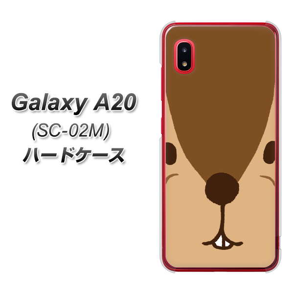 docomo ギャラクシー A20 SC-02M 高画質仕上げ 背面印刷 ハードケース【349 りす】