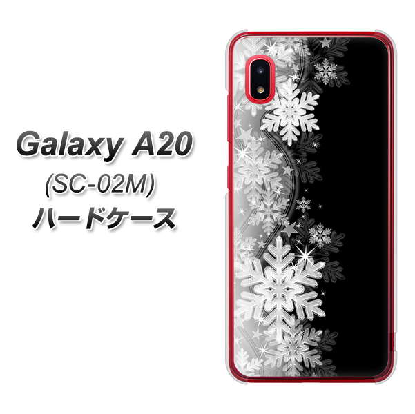 docomo ギャラクシー A20 SC-02M 高画質仕上げ 背面印刷 ハードケース【603 白銀と闇】