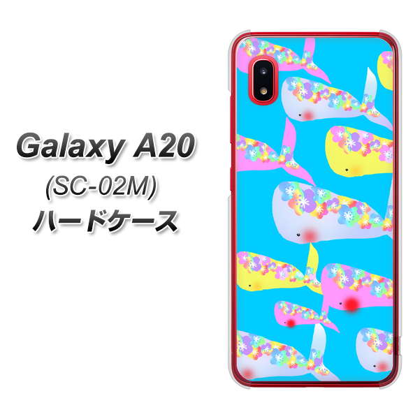docomo ギャラクシー A20 SC-02M 高画質仕上げ 背面印刷 ハードケース【1045 くじらの仲間】