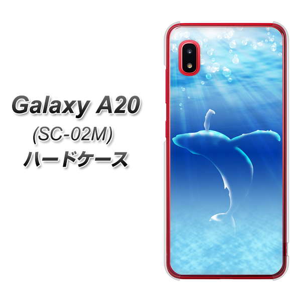 docomo ギャラクシー A20 SC-02M 高画質仕上げ 背面印刷 ハードケース【1047 海の守り神くじら】