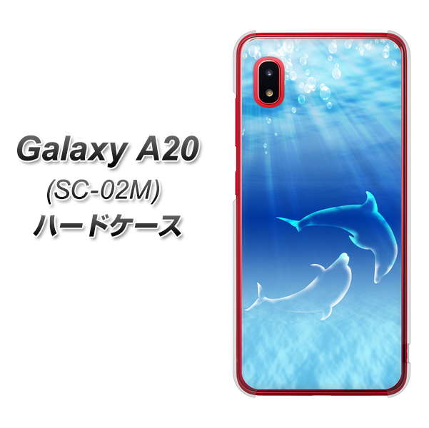 docomo ギャラクシー A20 SC-02M 高画質仕上げ 背面印刷 ハードケース【1048 海の守り神イルカ】