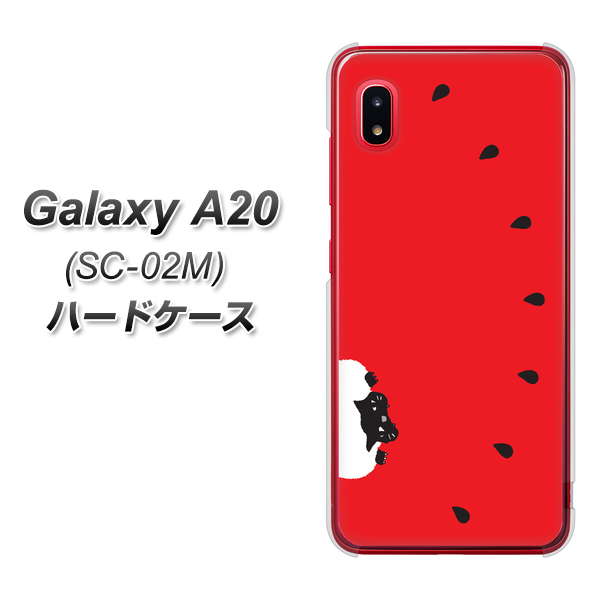 docomo ギャラクシー A20 SC-02M 高画質仕上げ 背面印刷 ハードケース【IA812 すいかをかじるネコ】
