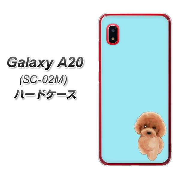 docomo ギャラクシー A20 SC-02M 高画質仕上げ 背面印刷 ハードケース【YJ050 トイプードルレッド（ブルー）】