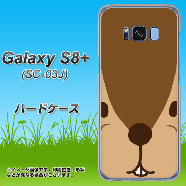 docomo ギャラクシー S8 プラス SC-03J 高画質仕上げ 背面印刷 ハードケース【349 りす】