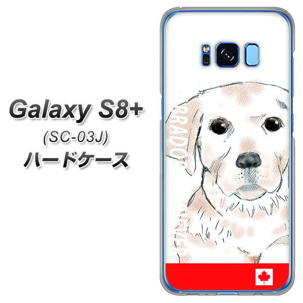 docomo ギャラクシー S8 プラス SC-03J 高画質仕上げ 背面印刷 ハードケース【YD821 ラブラドールレトリバー02】