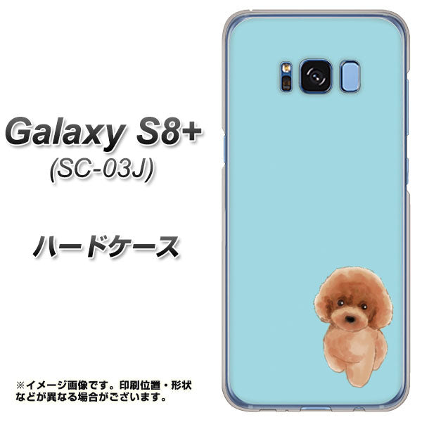 docomo ギャラクシー S8 プラス SC-03J 高画質仕上げ 背面印刷 ハードケース【YJ050 トイプードルレッド（ブルー）】