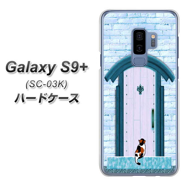 docomo ギャラクシー S9+ SC-03K 高画質仕上げ 背面印刷 ハードケース【YA953 石ドア03 素材クリア】