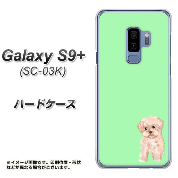 docomo ギャラクシー S9+ SC-03K 高画質仕上げ 背面印刷 ハードケース【YJ063 トイプードルアプリコット（グリーン）】