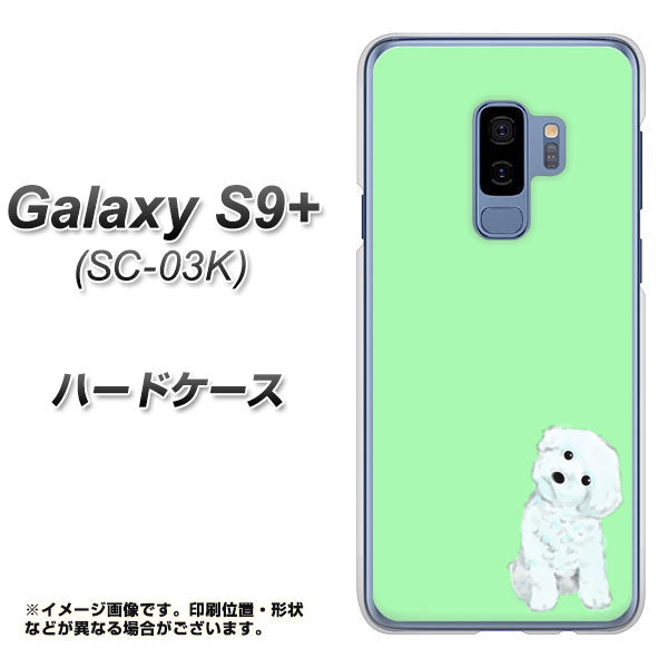 docomo ギャラクシー S9+ SC-03K 高画質仕上げ 背面印刷 ハードケース【YJ071 トイプードルホワイト（グリーン）】