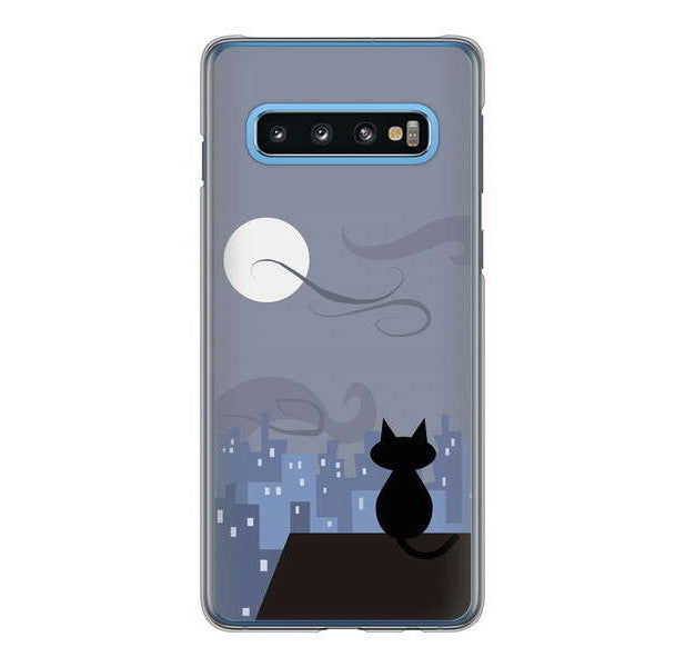Galaxy S10 SC-03L docomo 高画質仕上げ 背面印刷 ハードケース 夜とネコ
