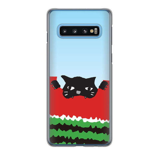 Galaxy S10 SC-03L docomo 高画質仕上げ 背面印刷 ハードケース すいかをかじるネコ