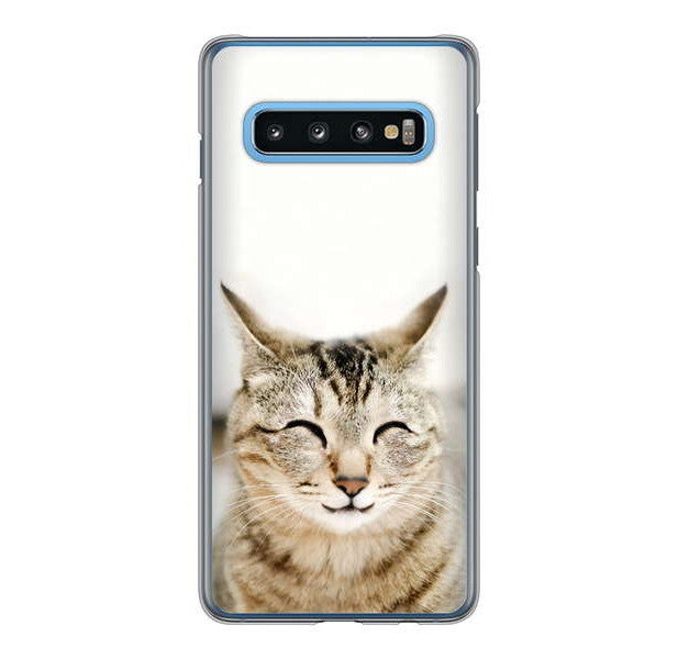 Galaxy S10 SC-03L docomo 高画質仕上げ 背面印刷 ハードケース 【VA801 笑福ねこ】