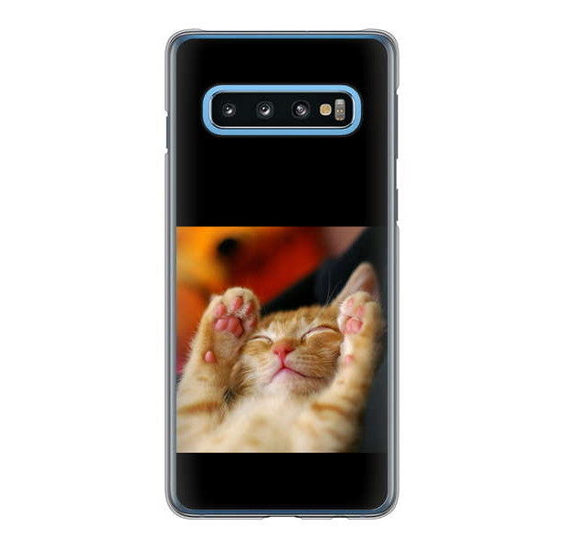 Galaxy S10 SC-03L docomo 高画質仕上げ 背面印刷 ハードケース 【VA804 爆睡するネコ】