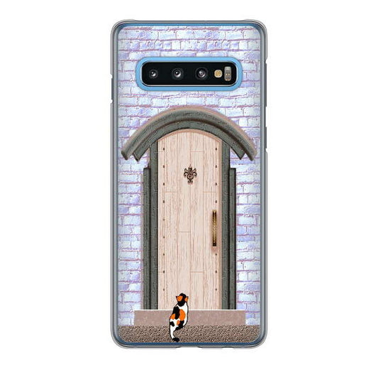 Galaxy S10 SC-03L docomo 高画質仕上げ 背面印刷 ハードケース 猫とドア