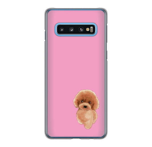 Galaxy S10 SC-03L docomo 高画質仕上げ 背面印刷 ハードケース トイプードルレッド