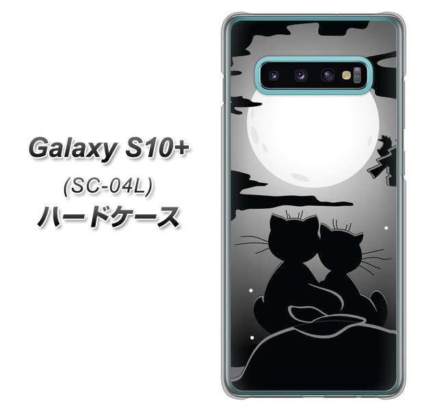 docomo ギャラクシー S10+ SC-04L 高画質仕上げ 背面印刷 ハードケース【342 月夜の二人】