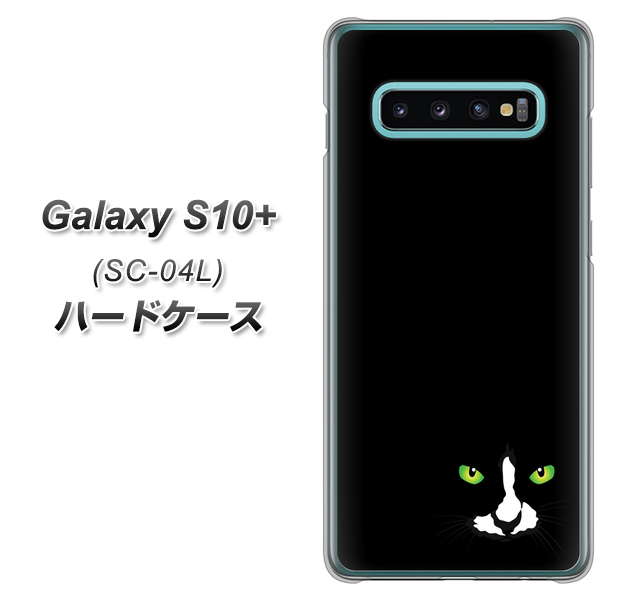 docomo ギャラクシー S10+ SC-04L 高画質仕上げ 背面印刷 ハードケース【398 黒ネコ】