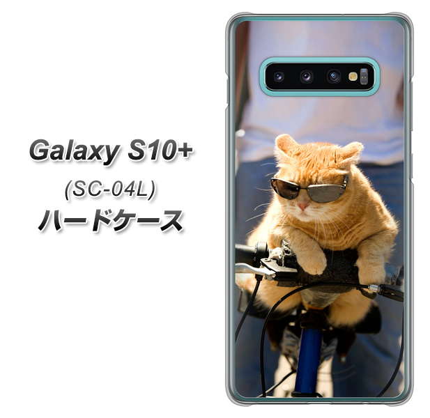 docomo ギャラクシー S10+ SC-04L 高画質仕上げ 背面印刷 ハードケース【595 にゃんとサイクル】