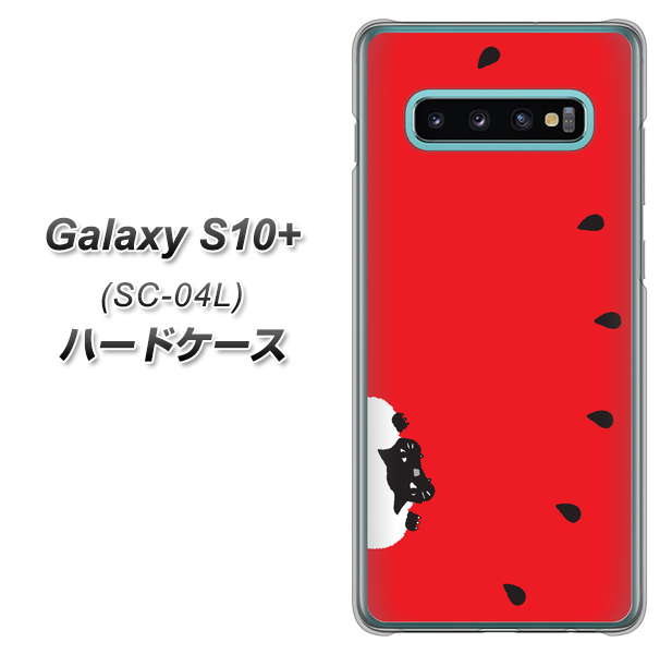 docomo ギャラクシー S10+ SC-04L 高画質仕上げ 背面印刷 ハードケース【IA812 すいかをかじるネコ】