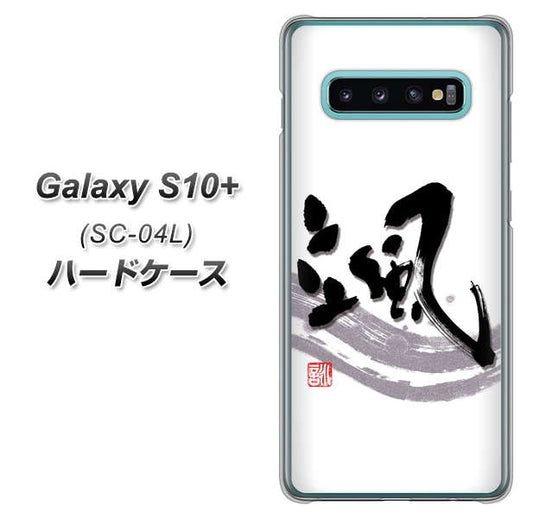 docomo ギャラクシー S10+ SC-04L 高画質仕上げ 背面印刷 ハードケース【OE827 颯】