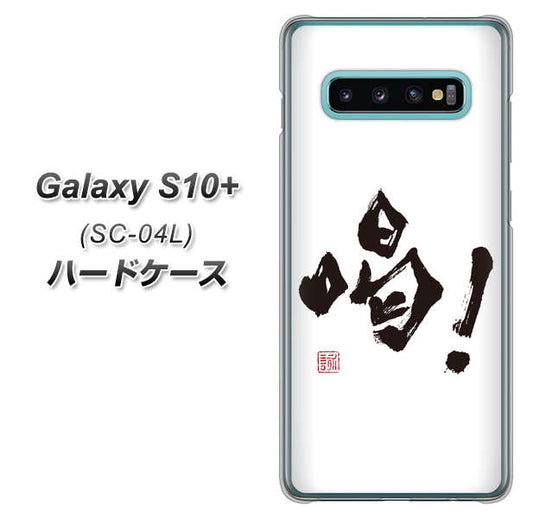 docomo ギャラクシー S10+ SC-04L 高画質仕上げ 背面印刷 ハードケース【OE845 喝！】