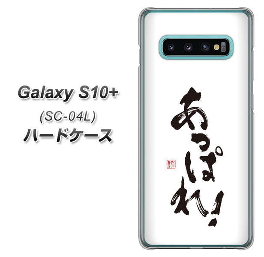 docomo ギャラクシー S10+ SC-04L 高画質仕上げ 背面印刷 ハードケース【OE846 あっぱれ！】