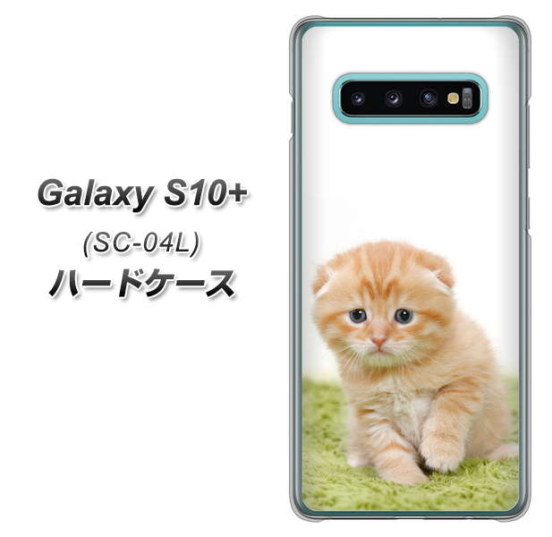 docomo ギャラクシー S10+ SC-04L 高画質仕上げ 背面印刷 ハードケース【VA802 ネコこっそり】