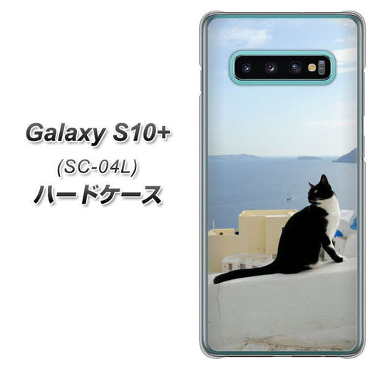 docomo ギャラクシー S10+ SC-04L 高画質仕上げ 背面印刷 ハードケース【VA805 ネコと地中海】