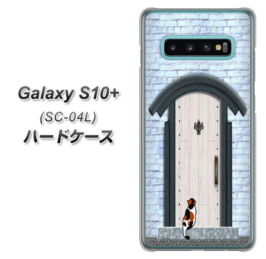 docomo ギャラクシー S10+ SC-04L 高画質仕上げ 背面印刷 ハードケース【YA951 石ドア01】