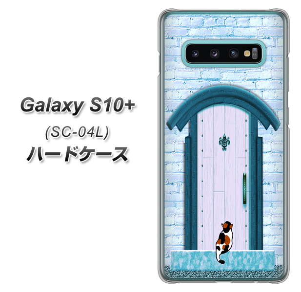 docomo ギャラクシー S10+ SC-04L 高画質仕上げ 背面印刷 ハードケース【YA953 石ドア03 素材クリア】