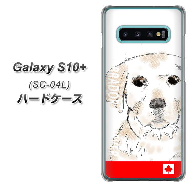 docomo ギャラクシー S10+ SC-04L 高画質仕上げ 背面印刷 ハードケース【YD821 ラブラドールレトリバー02】