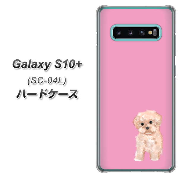 docomo ギャラクシー S10+ SC-04L 高画質仕上げ 背面印刷 ハードケース【YJ061 トイプードルアプリコット（ピンク）】