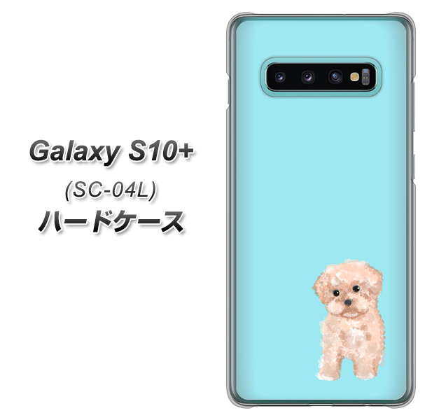 docomo ギャラクシー S10+ SC-04L 高画質仕上げ 背面印刷 ハードケース【YJ062 トイプードルアプリコット（ブルー）】