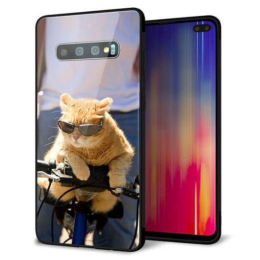 docomo ギャラクシー S10+ オリンピック限定モデル SC-05L 強化ガラス＆TPUスマホケース ガラプリ【595 にゃんとサイクル】
