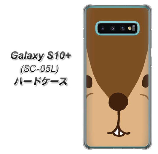 docomo ギャラクシー S10+ オリンピック限定モデル SC-05L 高画質仕上げ 背面印刷 ハードケース【349 りす】