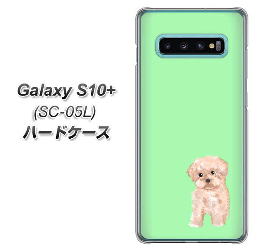 docomo ギャラクシー S10+ オリンピック限定モデル SC-05L 高画質仕上げ 背面印刷 ハードケース【YJ063 トイプードルアプリコット（グリーン）】