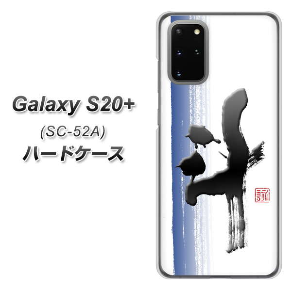 docomo ギャラクシーS20+ SC-52A 高画質仕上げ 背面印刷 ハードケース【OE829 斗】