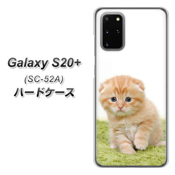 docomo ギャラクシーS20+ SC-52A 高画質仕上げ 背面印刷 ハードケース【VA802 ネコこっそり】