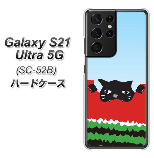 docomo ギャラクシーS21 ウルトラ 5G SC-52B 高画質仕上げ 背面印刷 ハードケース【IA815 すいかをかじるネコ(大)】