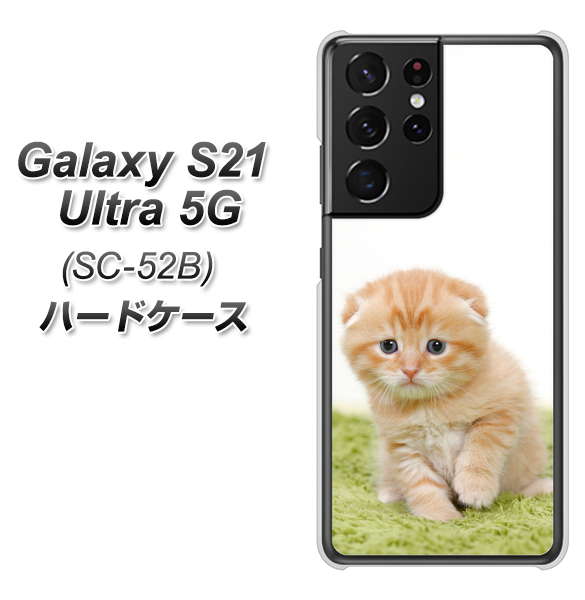 docomo ギャラクシーS21 ウルトラ 5G SC-52B 高画質仕上げ 背面印刷 ハードケース【VA802 ネコこっそり】