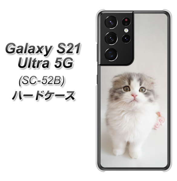 docomo ギャラクシーS21 ウルトラ 5G SC-52B 高画質仕上げ 背面印刷 ハードケース【VA803 まっていますネコ】