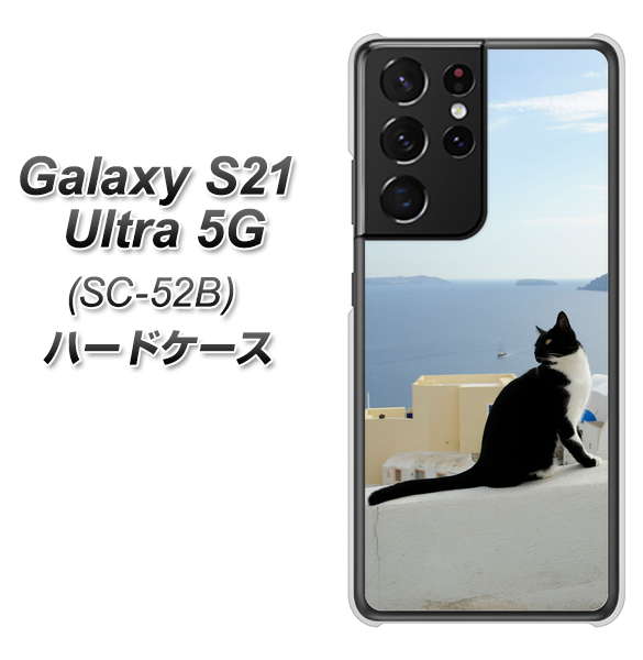 docomo ギャラクシーS21 ウルトラ 5G SC-52B 高画質仕上げ 背面印刷 ハードケース【VA805 ネコと地中海】