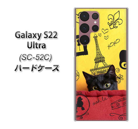 Galaxy S22 Ultra SC-52C docomo 高画質仕上げ 背面印刷 ハードケース【686 パリの子猫】